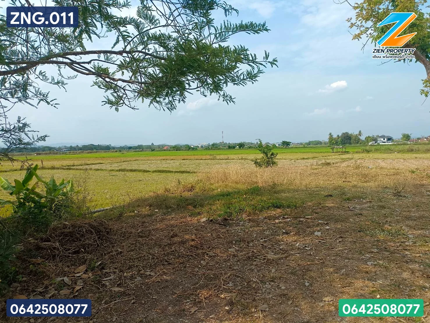 ที่ดินทำเลทอง เหมาะแก่การลงทุน - image 2