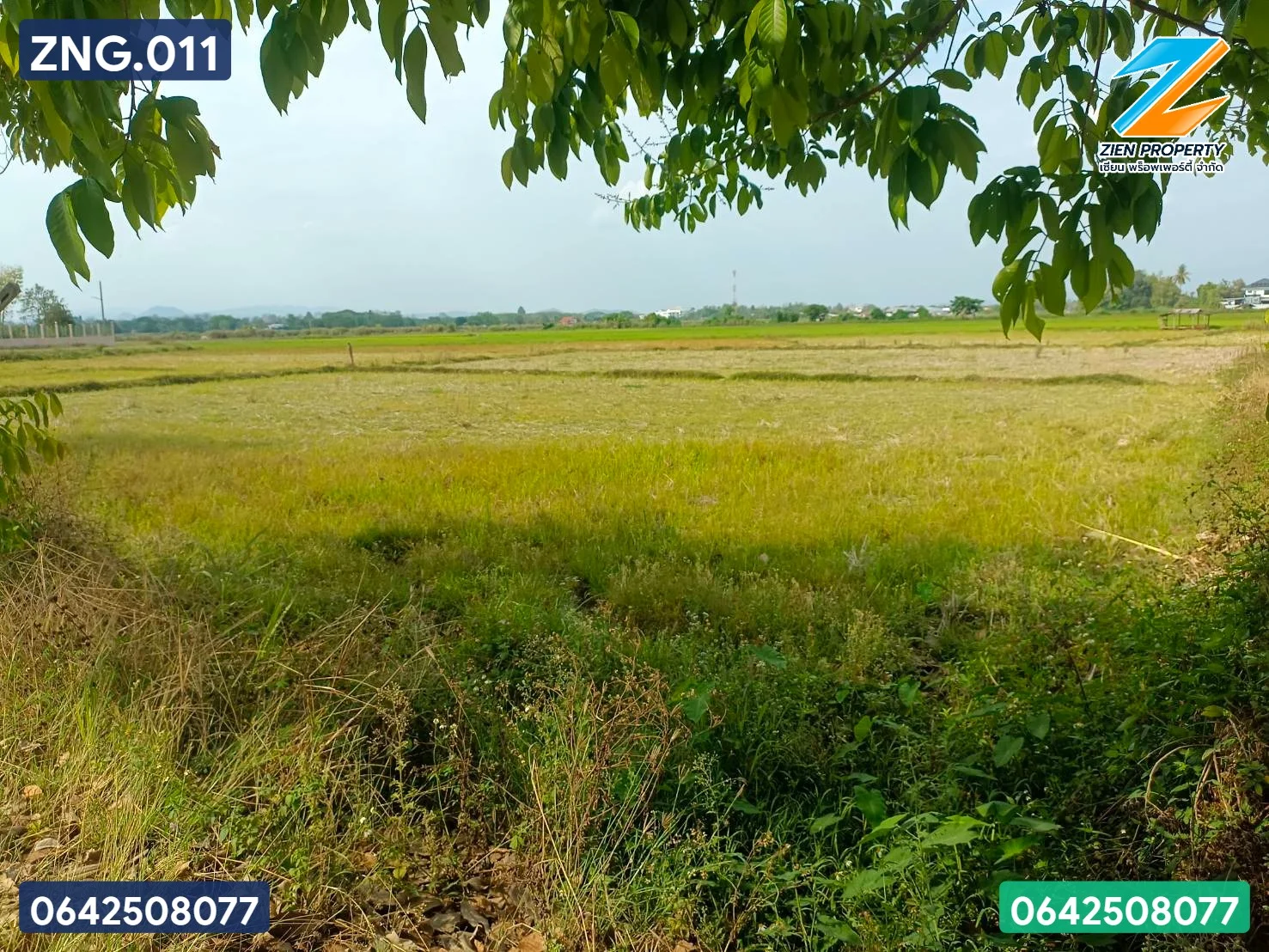 ที่ดินทำเลทอง เหมาะแก่การลงทุน - image 3