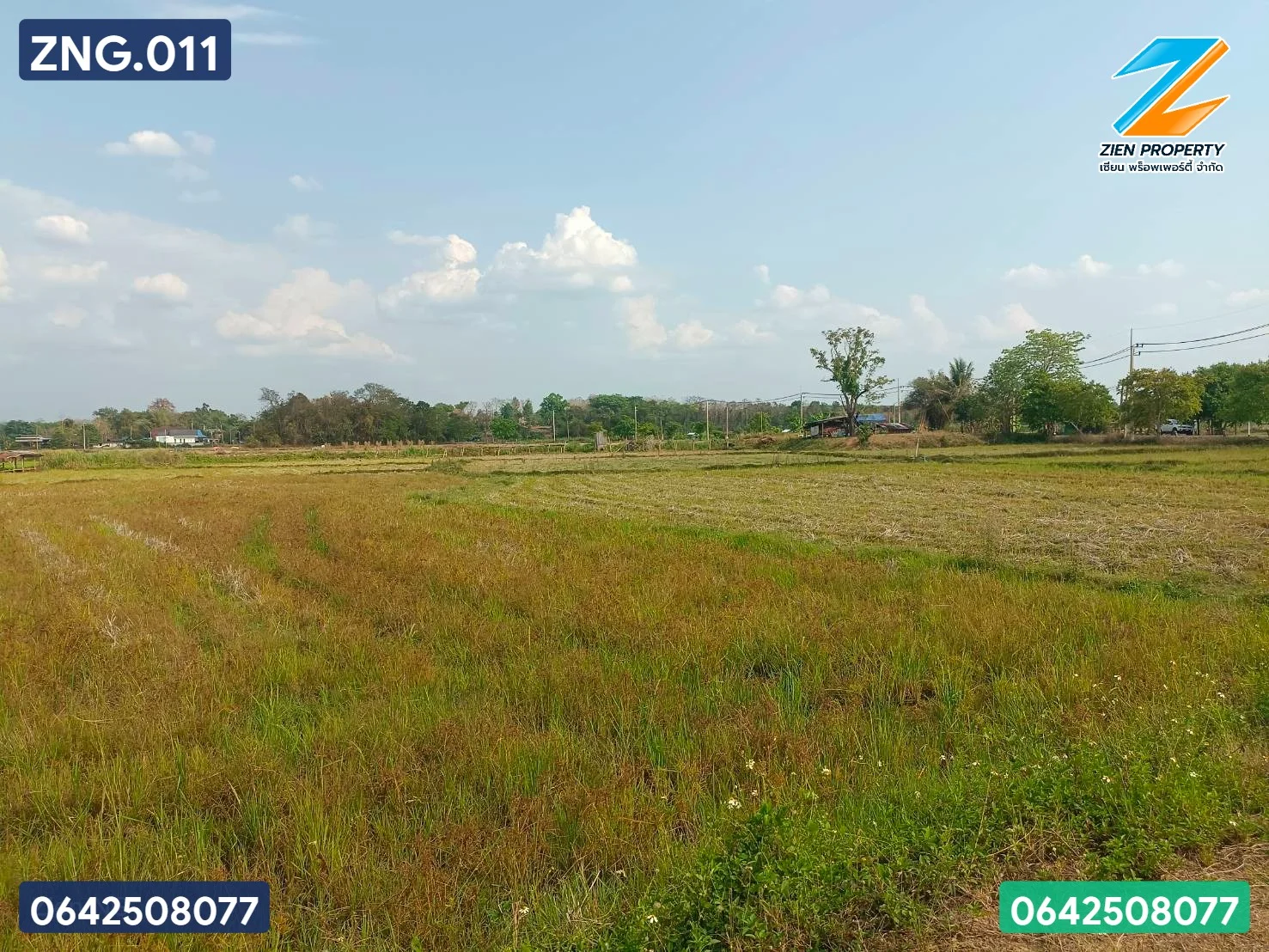 ที่ดินทำเลทอง เหมาะแก่การลงทุน - image 4