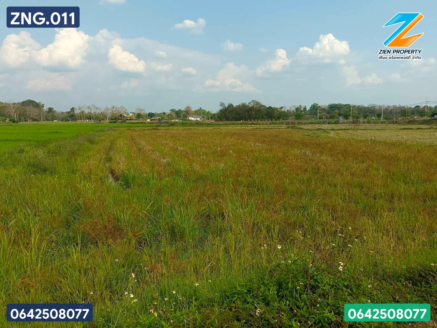 ที่ดินทำเลทอง เหมาะแก่การลงทุน - image 5