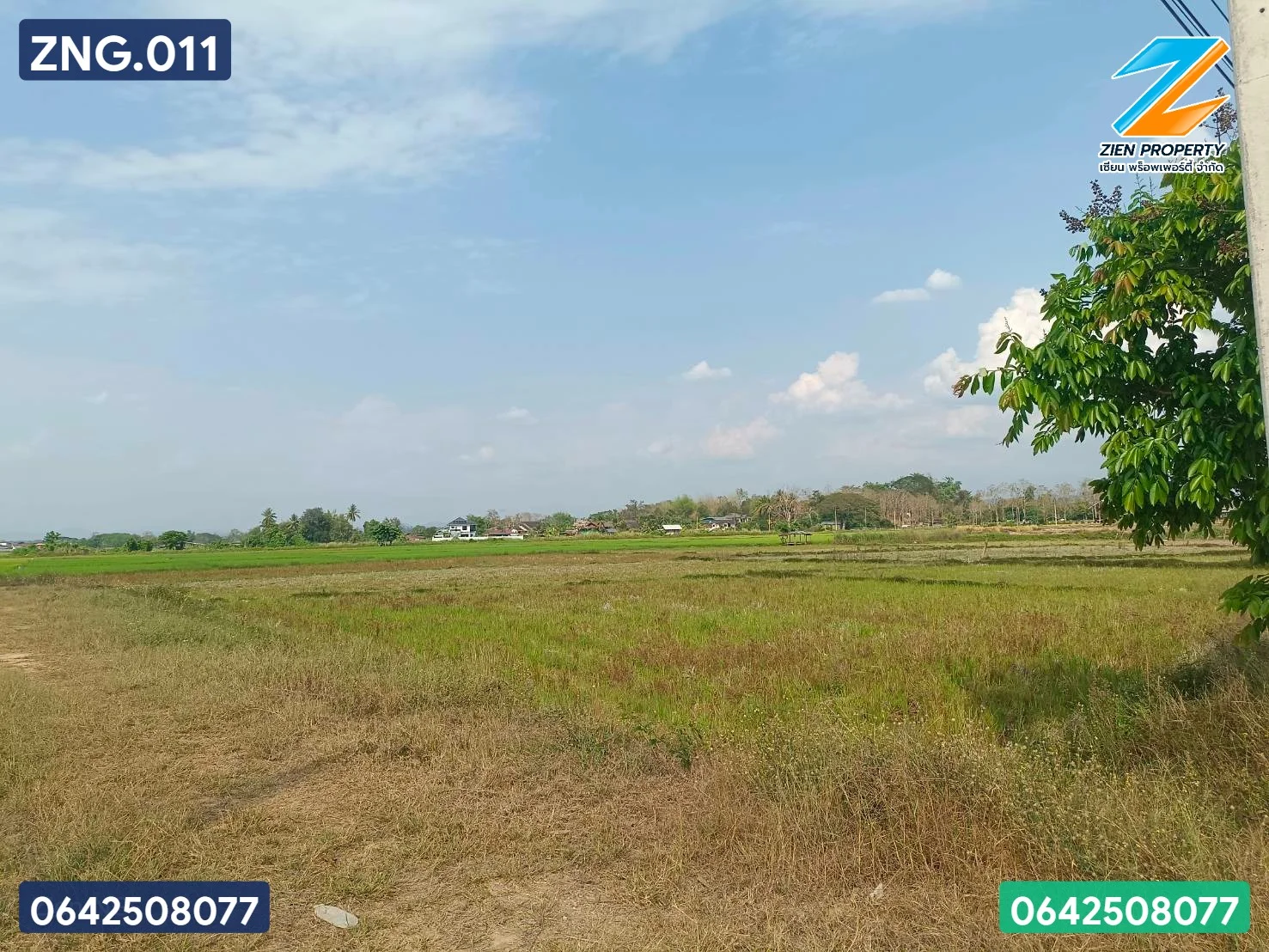 ที่ดินทำเลทอง เหมาะแก่การลงทุน - image 6