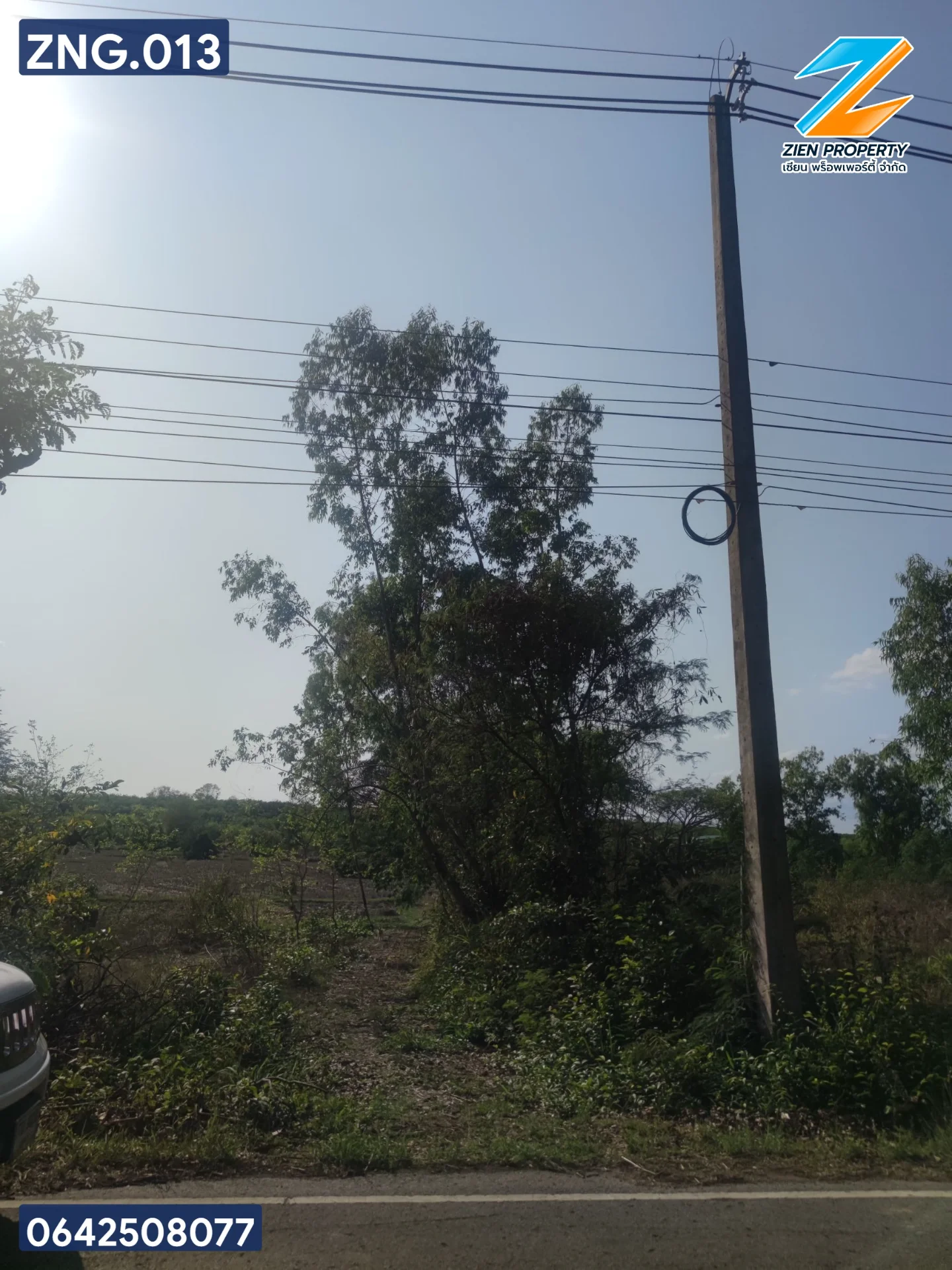 ที่ดินสวยทำเกษตรหรือบ้านสวน อ.สว่างแดนดิน - image 3