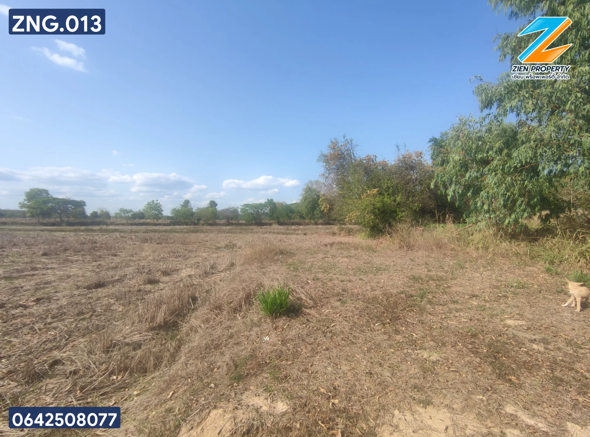 ที่ดินสวยทำเกษตรหรือบ้านสวน อ.สว่างแดนดิน - image 4