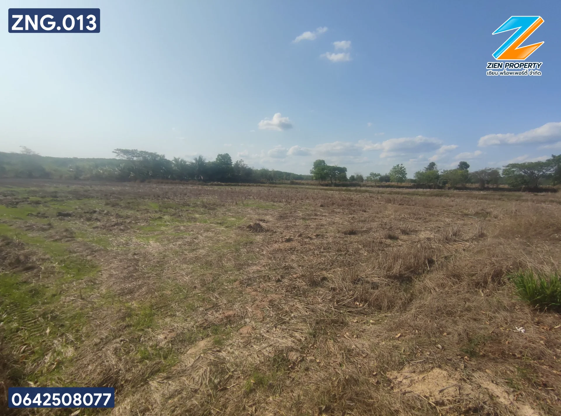 ที่ดินสวยทำเกษตรหรือบ้านสวน อ.สว่างแดนดิน - image 5