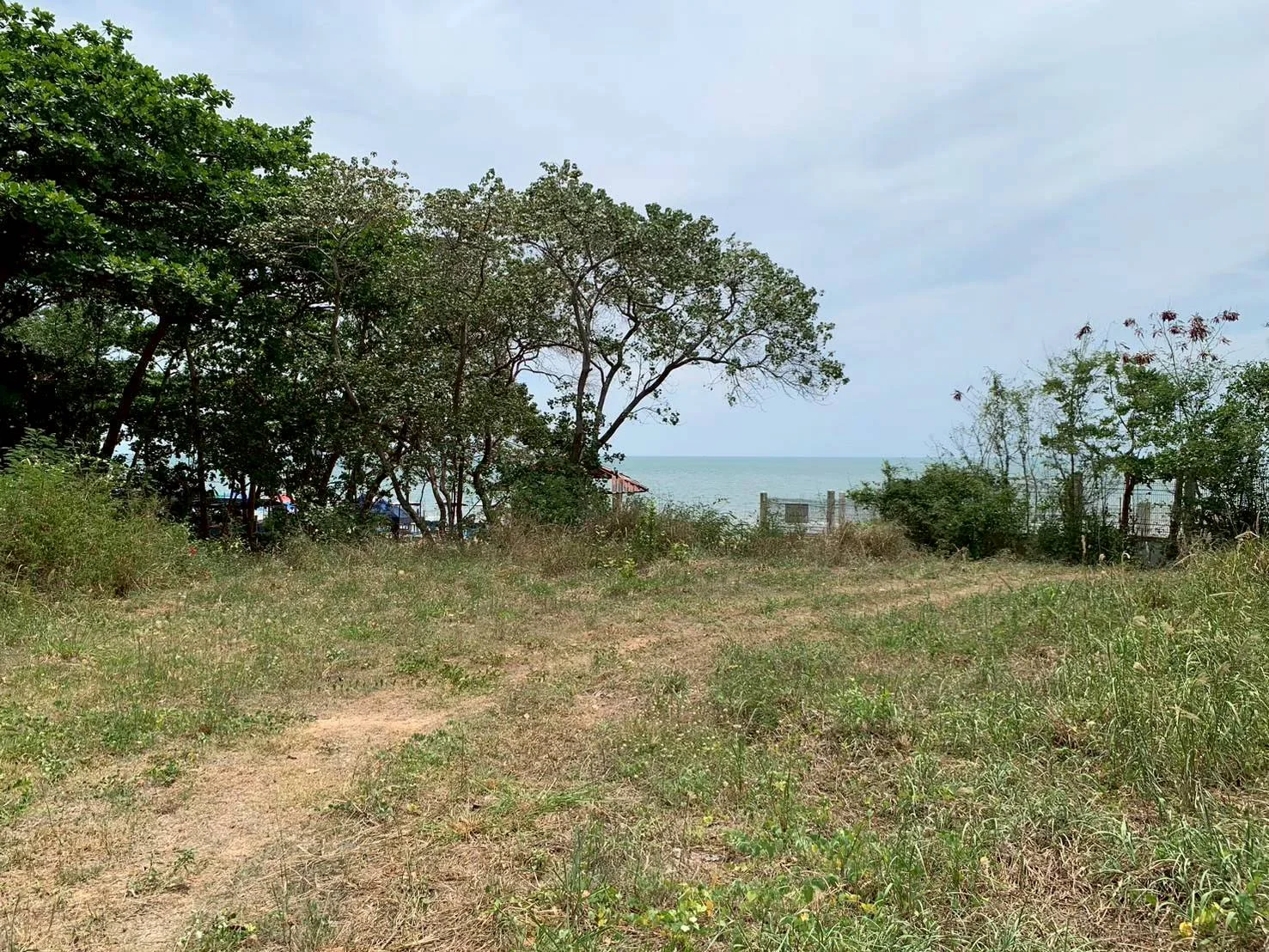 ZSK 043 ขายที่ดินสวย ติดหาดทรายน้อย เขาเต่า 13-1-18 ไร่ - image 9