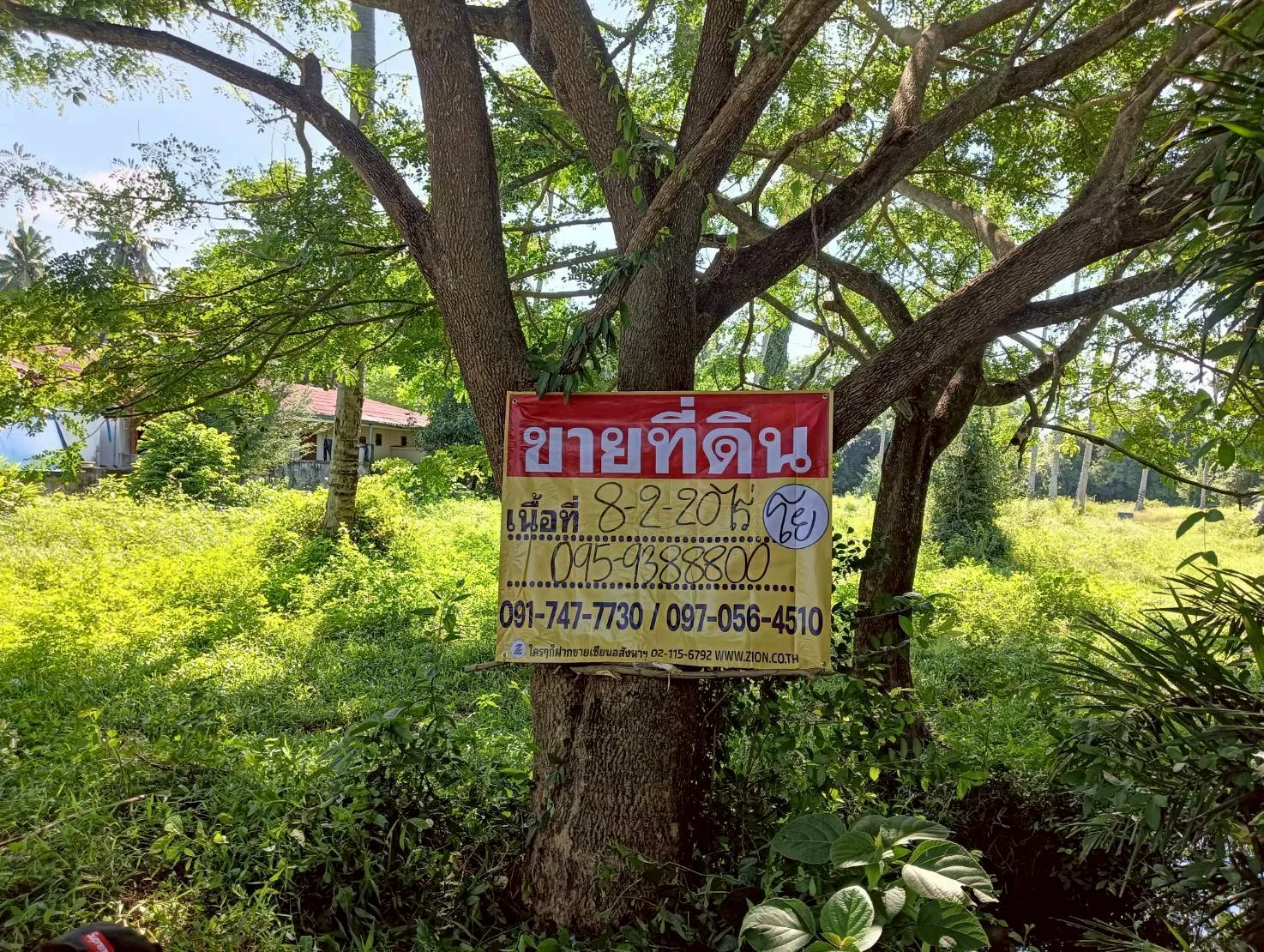 ZSK044 ขายที่ดิน บางสะพาน 8-2-20 ไร่ - image 10