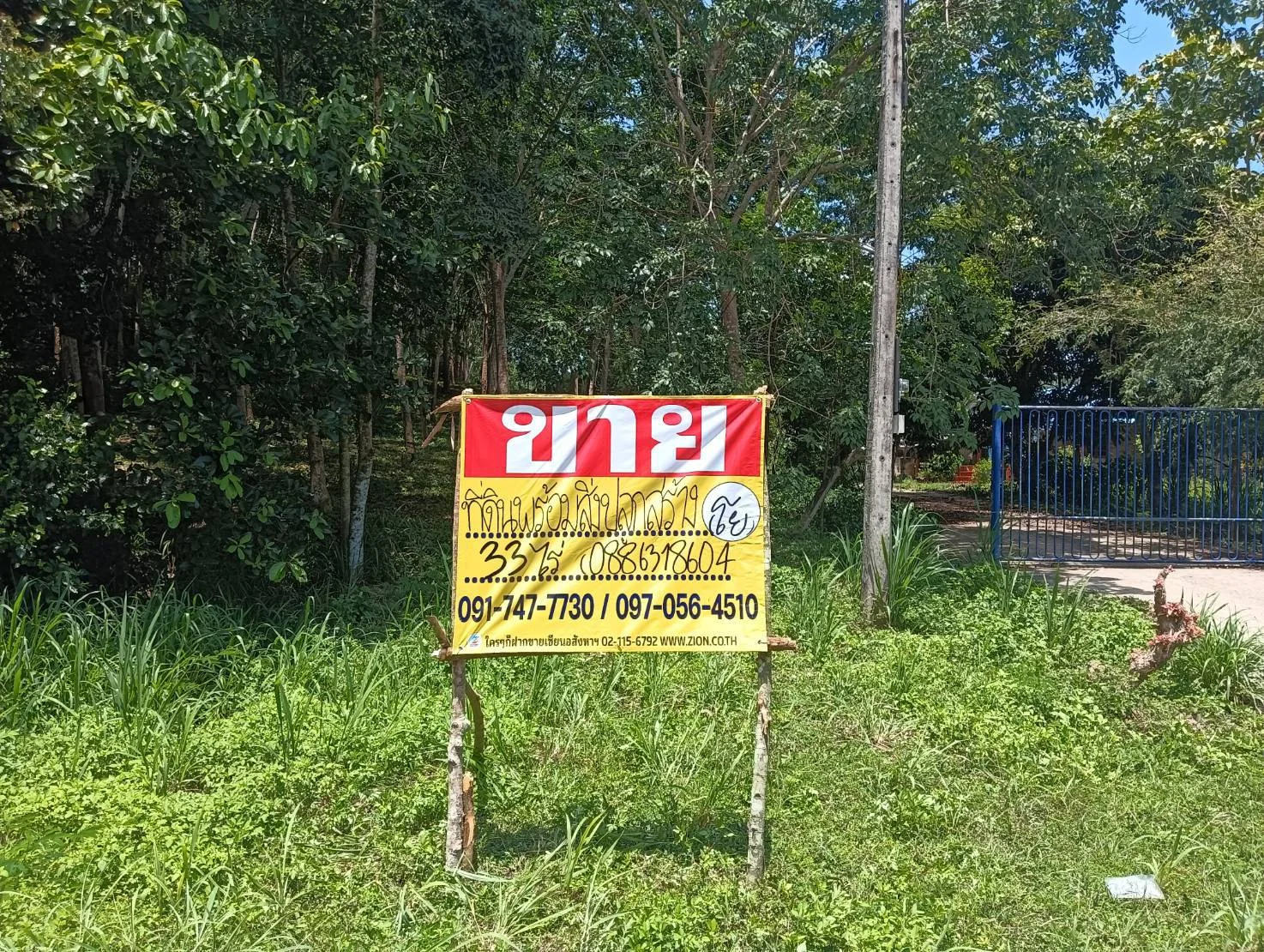 ZSK045 ขายที่ดินสวนยาง 33 ไร่ บางสะพาน ประจวบคิรีขันธ์ - image 5