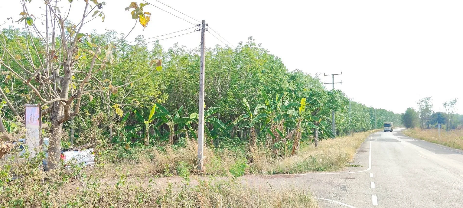 ขายที่ดินสวนยางพร้อมกรีด ราคาถูก 161-0-52 ไร่  คำบง บ้านผือ อุดรธานี   - image 2