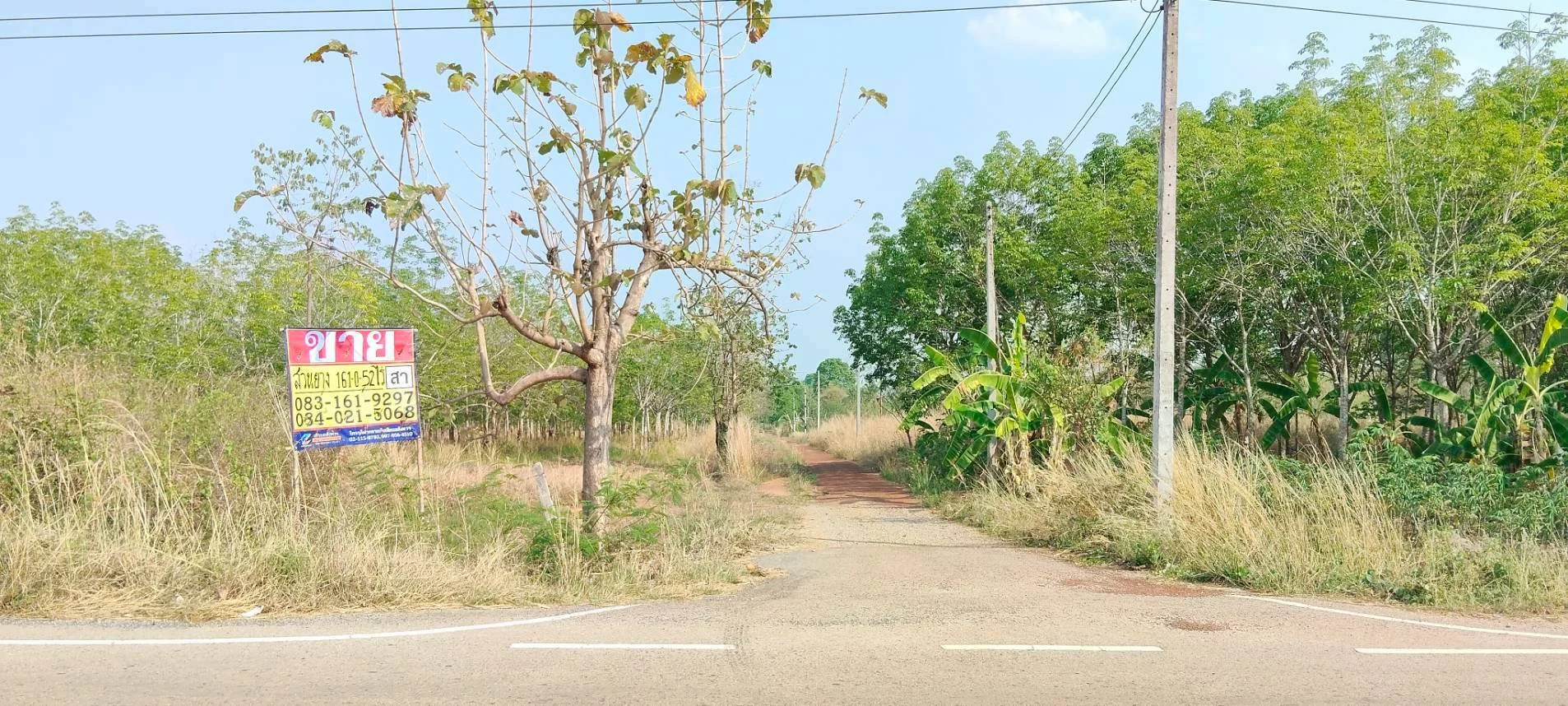 ขายที่ดินสวนยางพร้อมกรีด ราคาถูก 161-0-52 ไร่  คำบง บ้านผือ อุดรธานี   - image 7