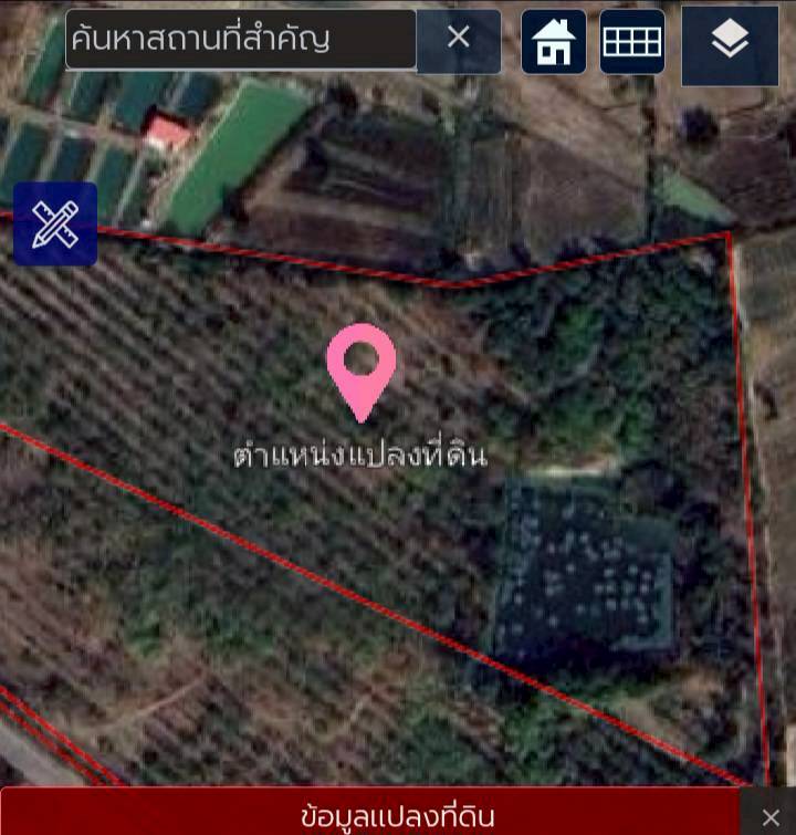 ขายที่ดินสวนยางพร้อมกรีด ราคาถูก 161-0-52 ไร่  คำบง บ้านผือ อุดรธานี   - image 9