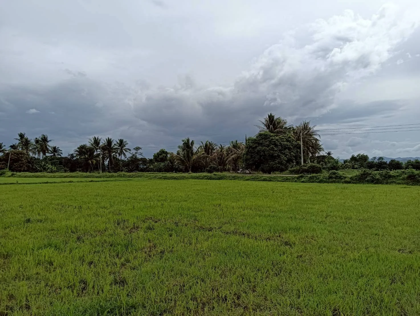 ZSK046 ขายที่ดินปราณบุรี 11-1-22 ไร่ - image 3