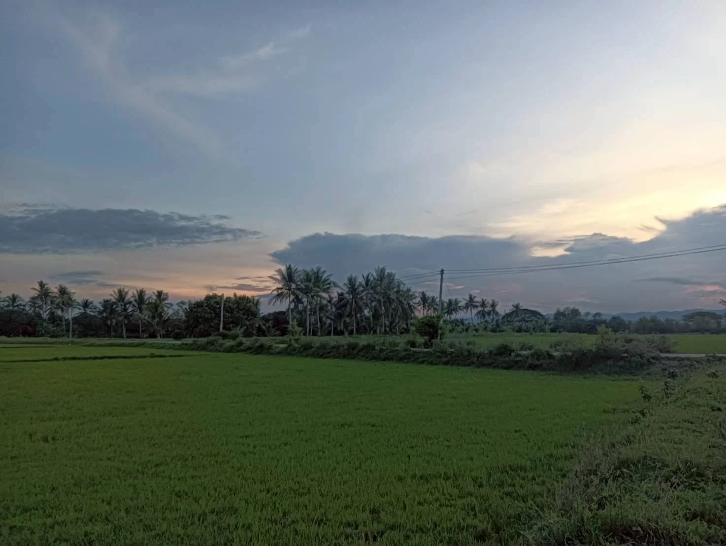 ZSK046 ขายที่ดินปราณบุรี 11-1-22 ไร่ - image 4