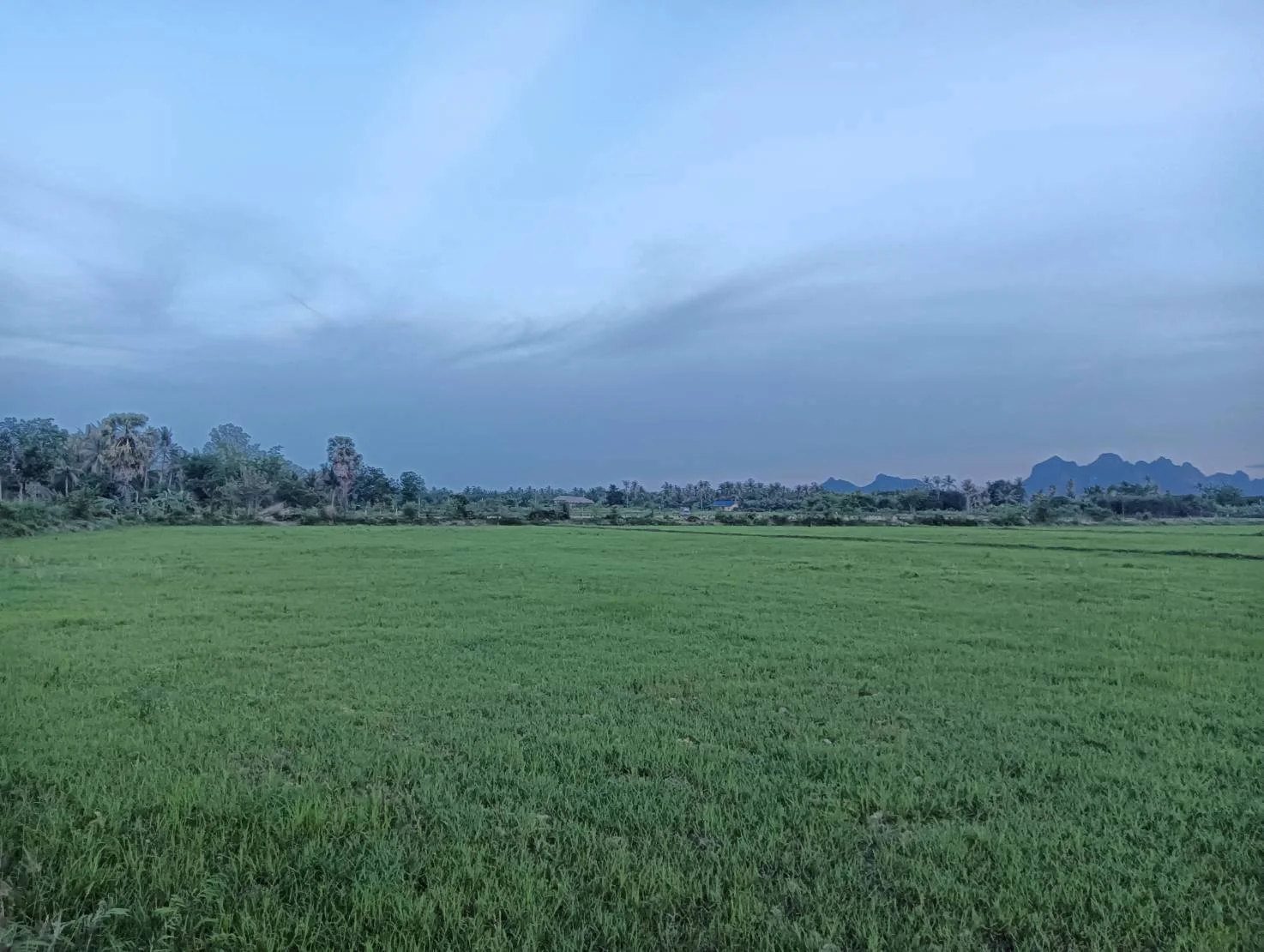 ZSK046 ขายที่ดินปราณบุรี 11-1-22 ไร่ - image 5