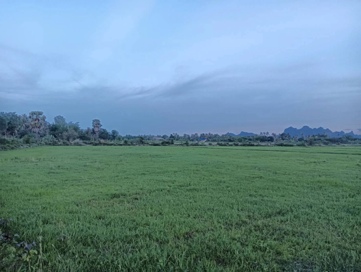 ZSK046 ขายที่ดินปราณบุรี 11-1-22 ไร่ - image 6
