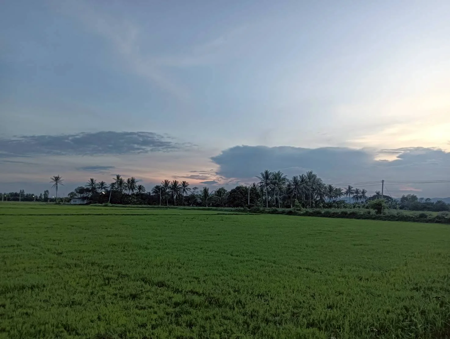 ZSK046 ขายที่ดินปราณบุรี 11-1-22 ไร่ - image 8