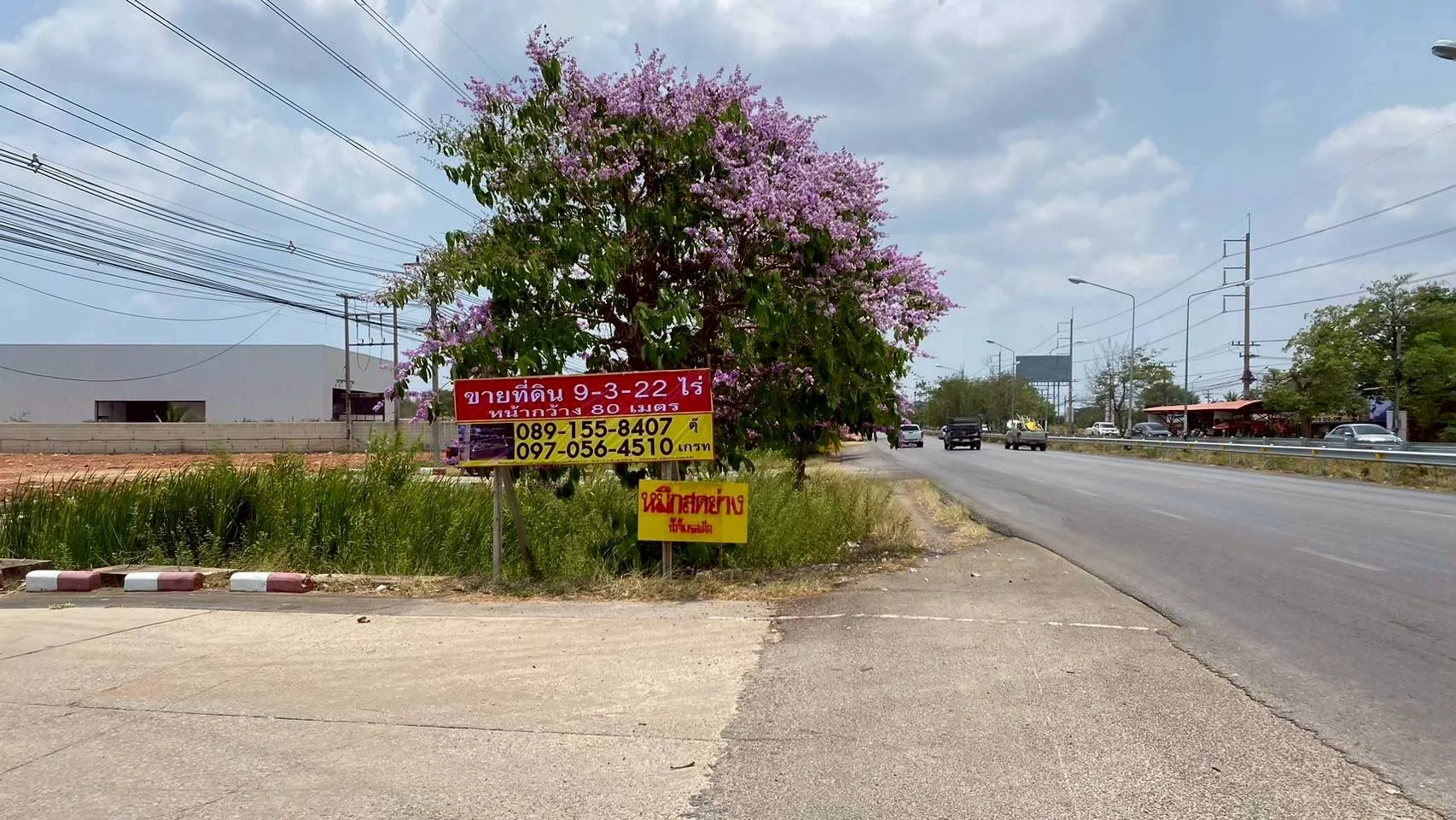 ขาย/เช่า ที่ดินสวยติดถนนเพชรเกษม 9-3-22 ไร่ ท่าราบ เมืองราชบุรี ใกล้ ปตท.โรงไฟฟ้าราชบุรี - image 2