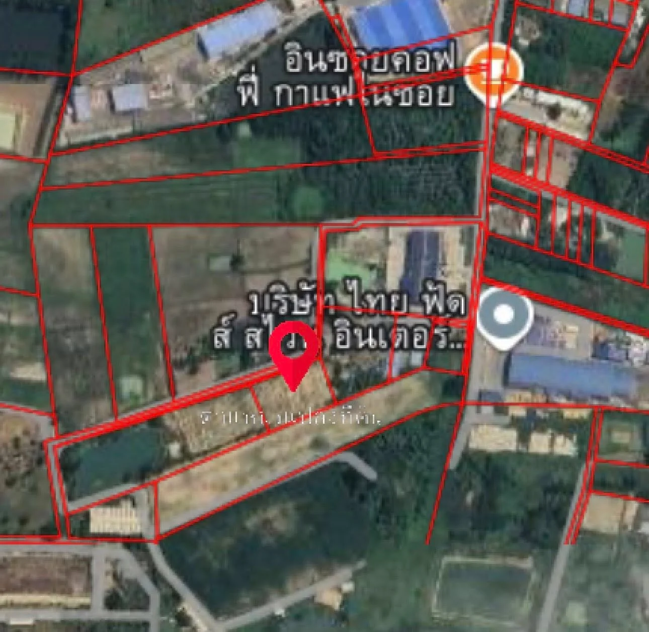 ขายที่ดิน ตำบลบ่อกวางทอง เนื้อที่ 2 ไร่ - image 2