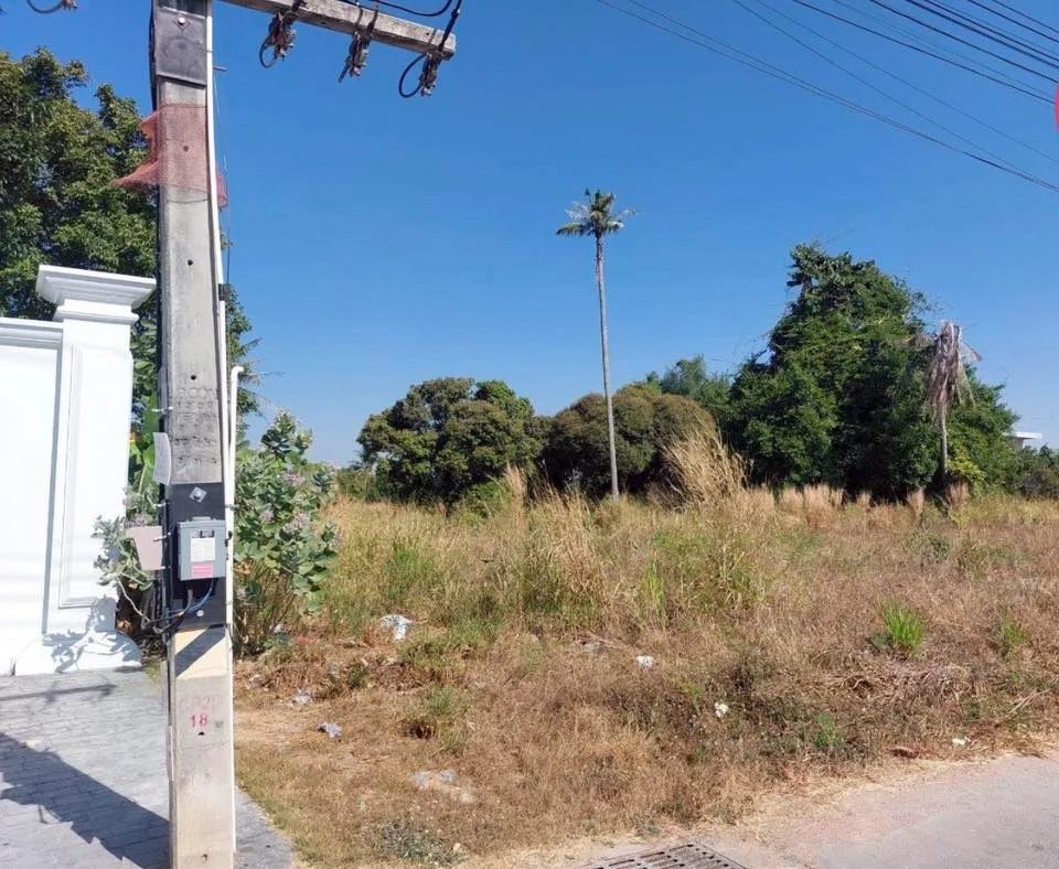 ขายที่ดิน ชัยพรวิถี 21 ซอย 3 เนื้อที่ 5-1-91 ไร่ - image 2