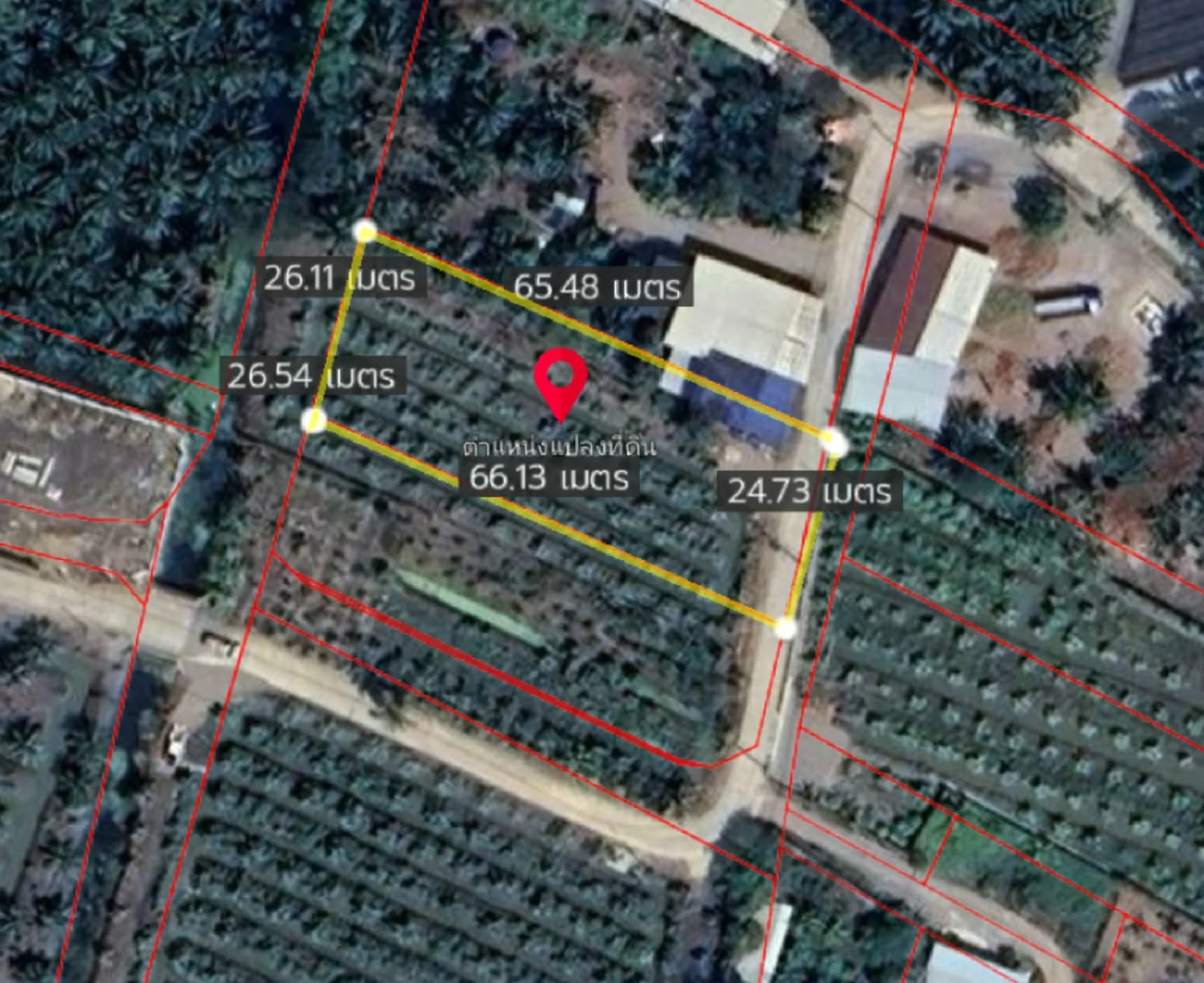 ZSK050 ขายที่ดินสวนฝรั่งและมะพร้าวพร้อมเก็บเกี่ยว 1 ไร่ 67 ตร.ว. ใกล้ตลาดลองร่องสวนยายแพง - image 9