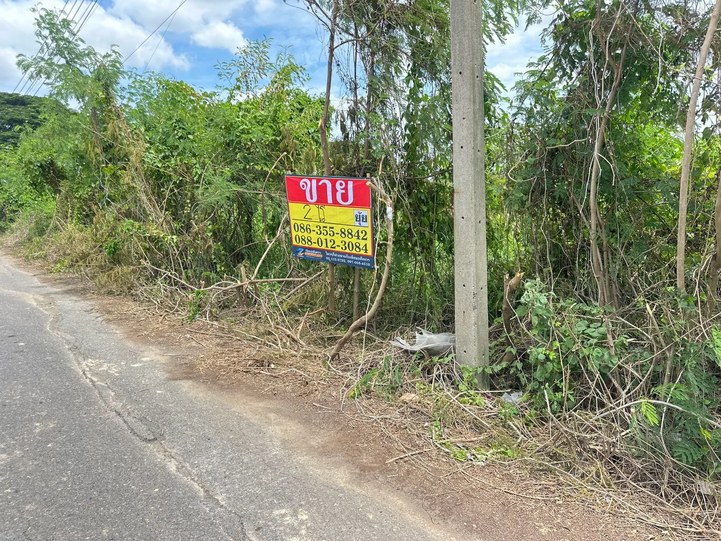 ขายที่ดิน 2 ไร่ ซอยคลองหกตะวันออก 72 คลองหลวง ปทุมธานี - image 4