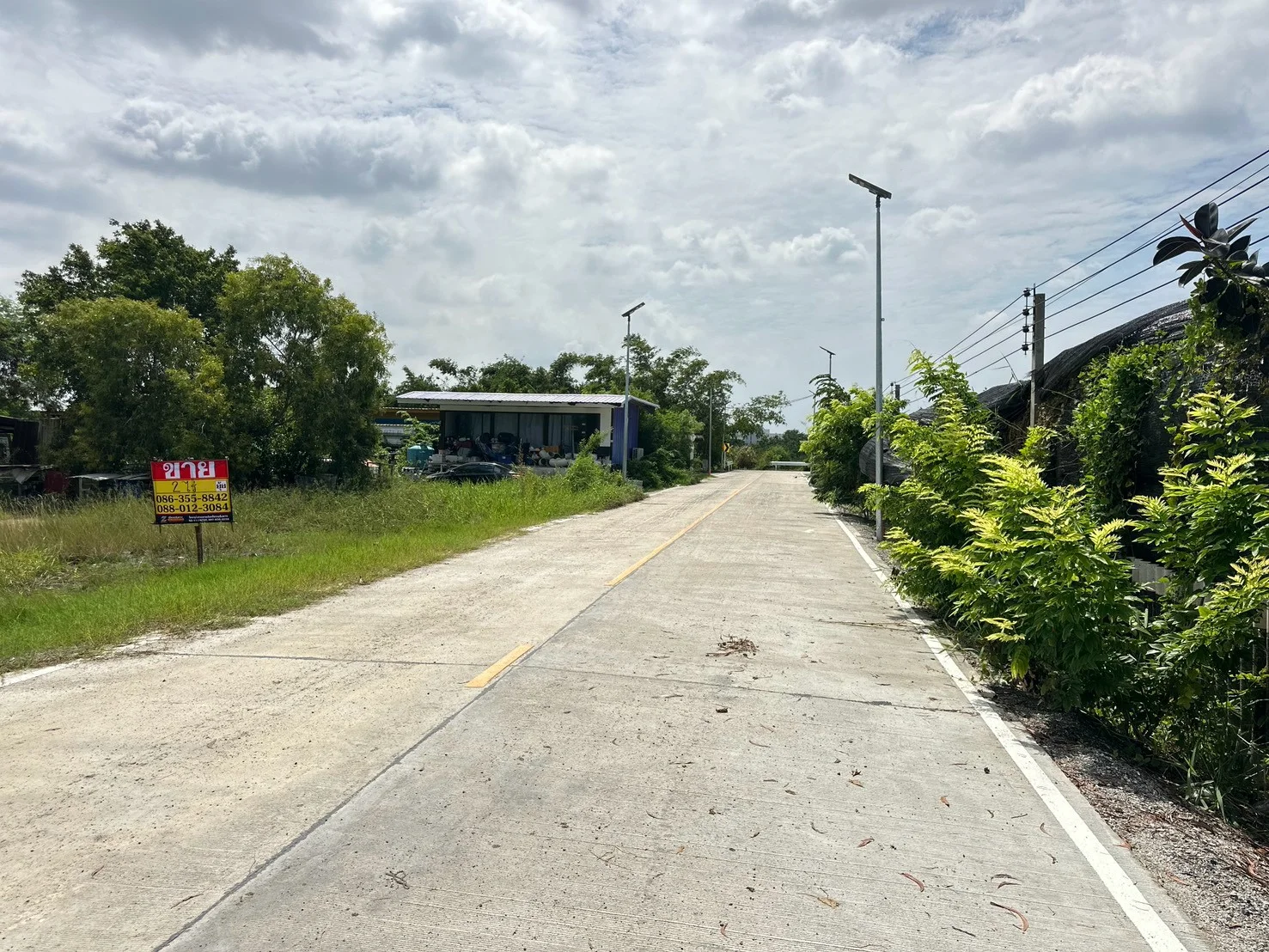 ขายที่ดิน 2 ไร่  ถนนเจตน์วิจิตร บ้านระกาศ  บางบ่อ สมุทรปราการ - image 4