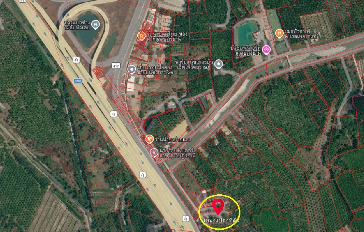 ขายที่ดิน 1-2-64 ไร่ พร้อมบ้าน  ใกล้ท่าอากาศยานนานาชาติสุราษฎร์ธานี - image 3