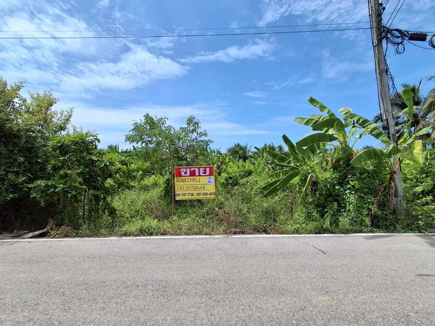 ZMC034 ขายที่ดิน 199 ตร.วา. ซ.โรงถ่าน ถนนทุ่งกระโจมทอง หลักสอง บ้านแพ้ว สมุทรสาคร