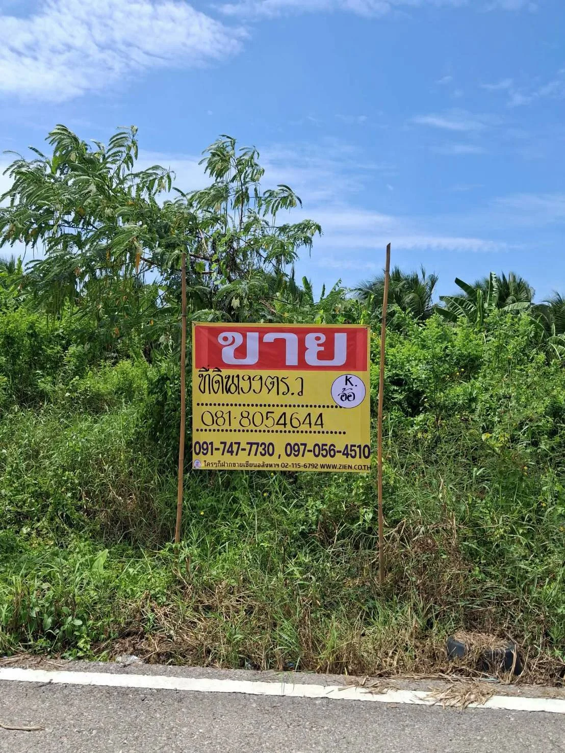 ZMC034 ขายที่ดิน 199 ตร.วา. ซ.โรงถ่าน ถนนทุ่งกระโจมทอง หลักสอง บ้านแพ้ว สมุทรสาคร - image 2
