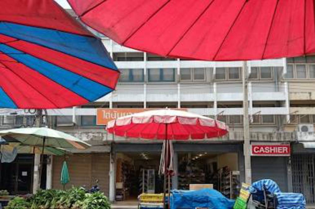 ขายด่วน  อาคารพาณิชย์ 2 คูหา 36 ตรว. ข้างหลังห้างเซนโตซ่า ตลาดบางลำภู จ.ขอนแก่น - image 2