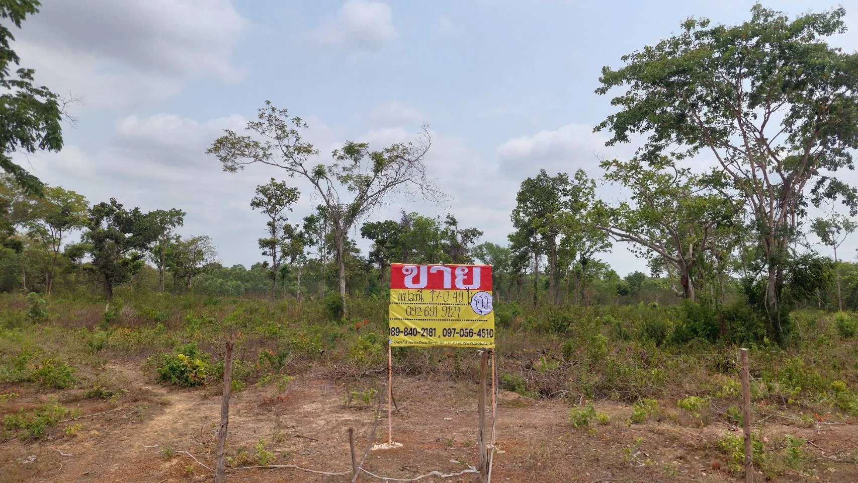 ขายที่ดิน 17-0-40 ไร่   ใกล้ถ.มิตรภาพ  283 เมตร เชียงหวาง  อำเภอเพ็ญ   จ.อุดรธานี - image 2