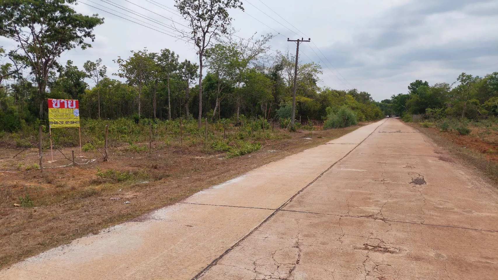 ขายที่ดิน 17-0-40 ไร่   ใกล้ถ.มิตรภาพ  283 เมตร เชียงหวาง  อำเภอเพ็ญ   จ.อุดรธานี - image 4