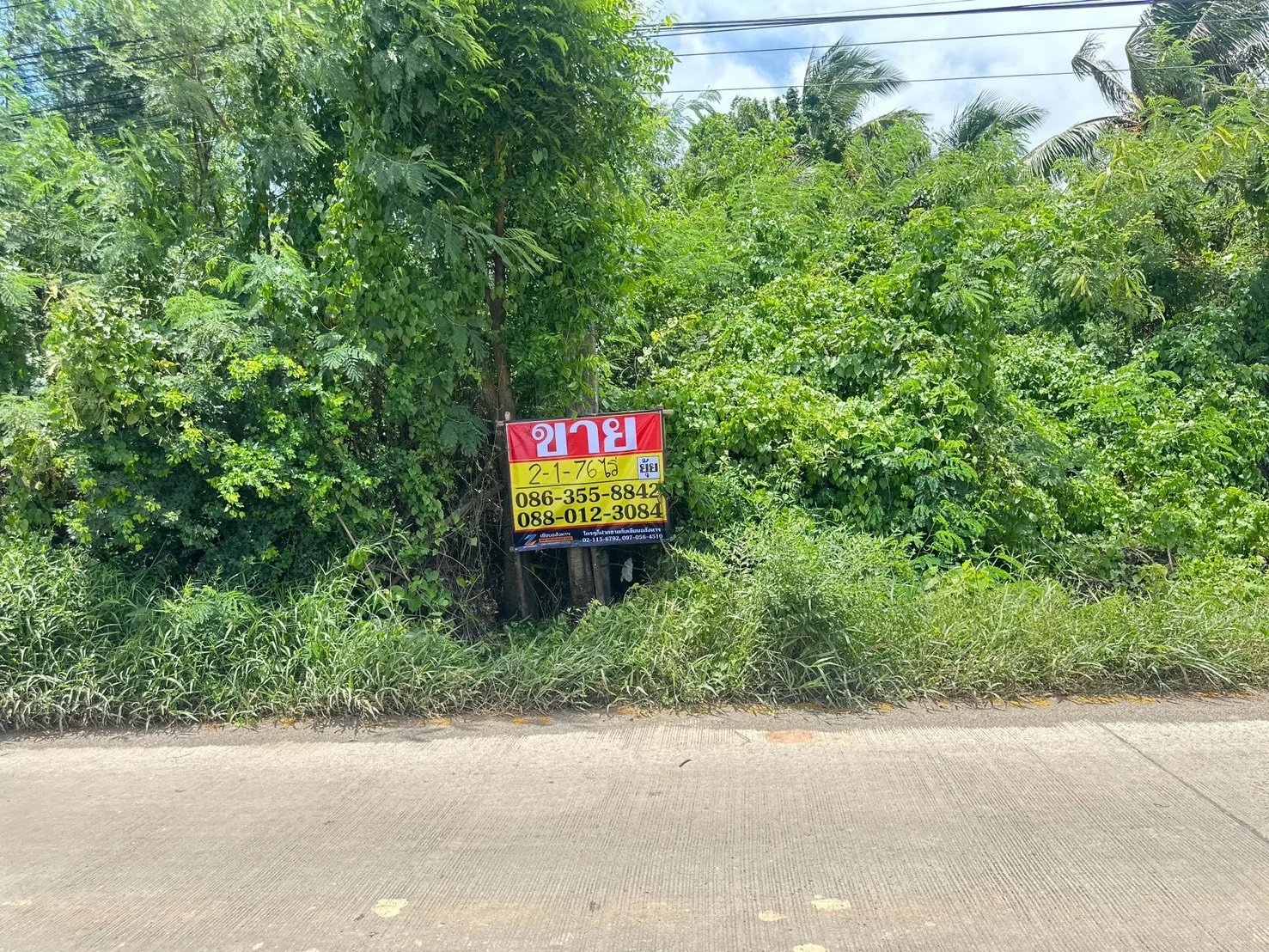 ขายที่ดิน 2-1-76 ไร่  ซอยวัดคู้เกษมสโมสร ถนนตลาดปองพล คลองอุดมชลจร  เมืองฉะเชิงเทรา