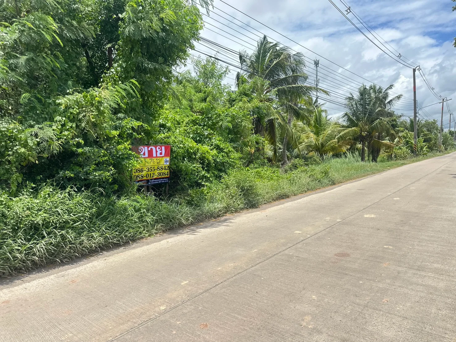 ขายที่ดิน 2-1-76 ไร่  ซอยวัดคู้เกษมสโมสร ถนนตลาดปองพล คลองอุดมชลจร  เมืองฉะเชิงเทรา - image 2