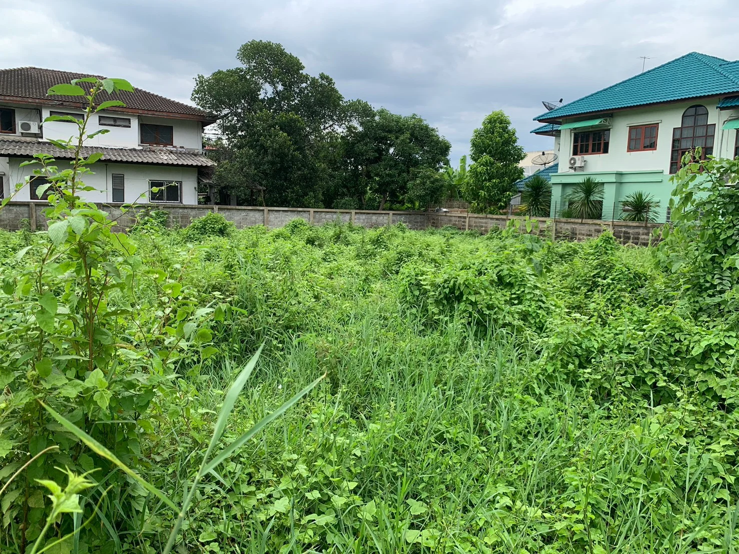 ขายที่ดิน 192 ตรว. รามอินทรา61 แยก 4 ในหมู่บ้านสวัสดิการนายทหาร ใกล้ MRT วัชรพล ถมแล้ว เงียบสงบ ปลอดภัย เหมาะสร้างบ้าน - image 5