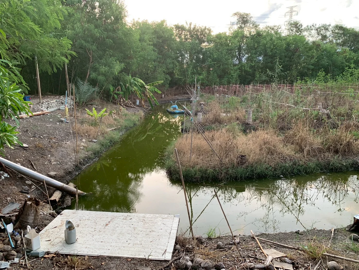 ขายที่ดิน 8 ไร่ หลักสาม บ้านแพ้ว เหมาะสร้างบ้าน ทำสวนทำเกษตร - image 5