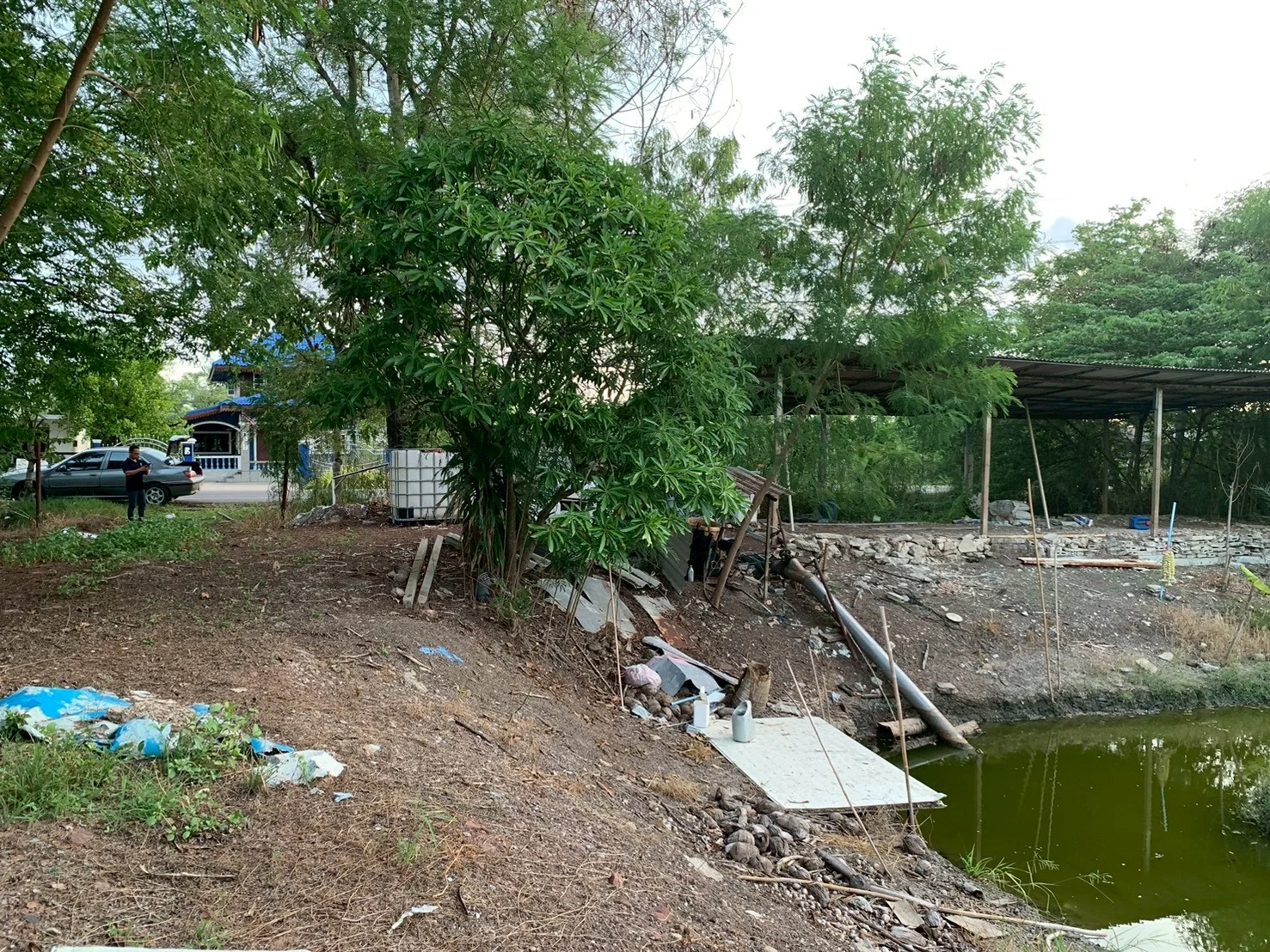 ขายที่ดิน 8 ไร่ หลักสาม บ้านแพ้ว เหมาะสร้างบ้าน ทำสวนทำเกษตร - image 7