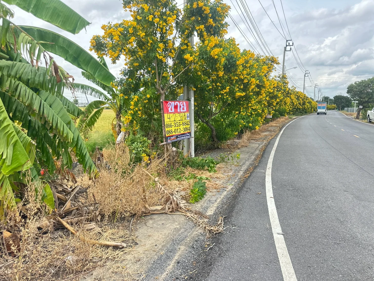 ขายที่ดิน 4-2-38 ไร่  ตรงข้าม กศน. ตำบลคลองข่อย นนทบุรี  ถนน 345-ราชพฤกษ์ ปากเกร็ด - image 4