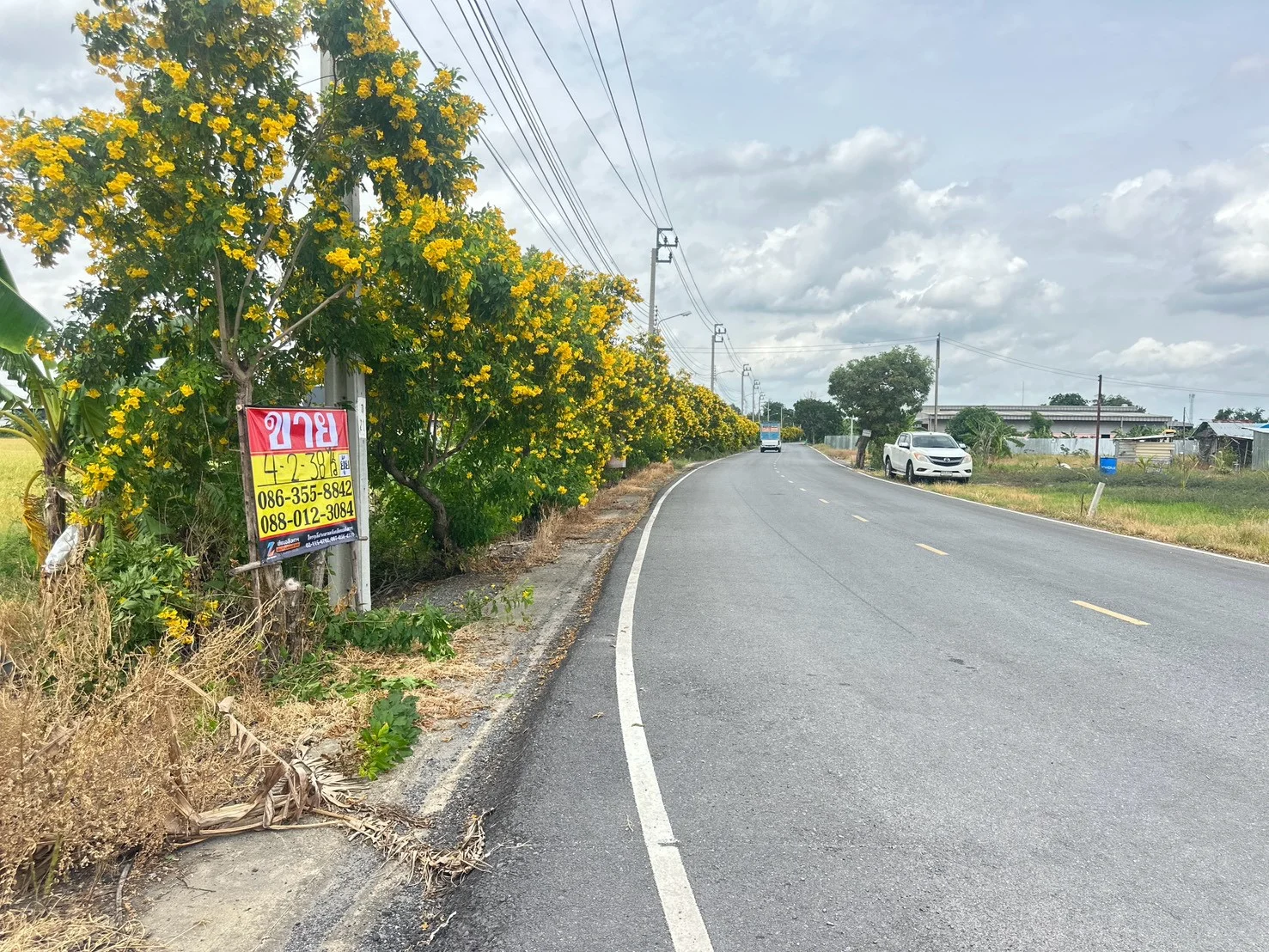 ขายที่ดิน 4-2-38 ไร่  ตรงข้าม กศน. ตำบลคลองข่อย นนทบุรี  ถนน 345-ราชพฤกษ์ ปากเกร็ด - image 5