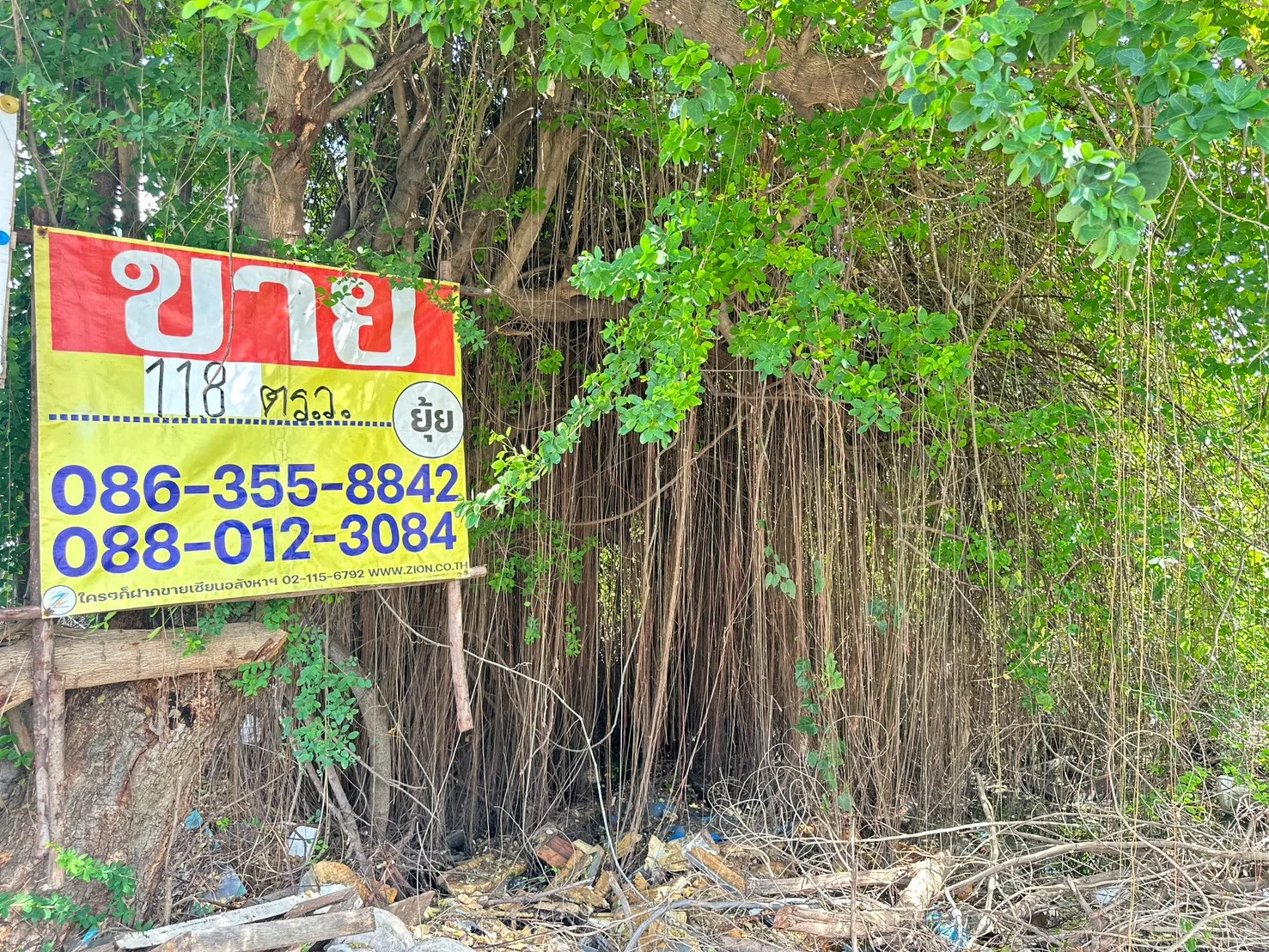 ขายที่ดิน 118 ตารางวา  ซอยลาซาล 54  บางนา  พระโขนง  ใกล้รถไฟฟ้าสถานีศรีลาซาล
