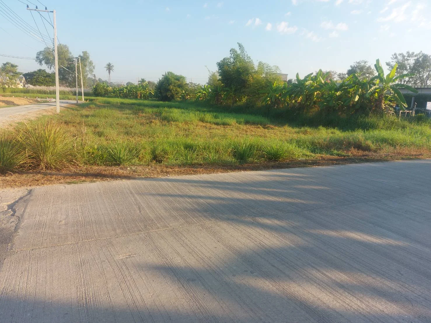 ขายที่ดิน 1-1-38.6 ไร่  บ้านกร่าง  ใจกลางเมืองพิษณุโลก   ใกล้ถนนเส้นหลัก ตรงข้ามดูโฮมพิษณุโลก